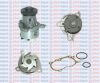 DAIHA 1610097245 Water Pump
